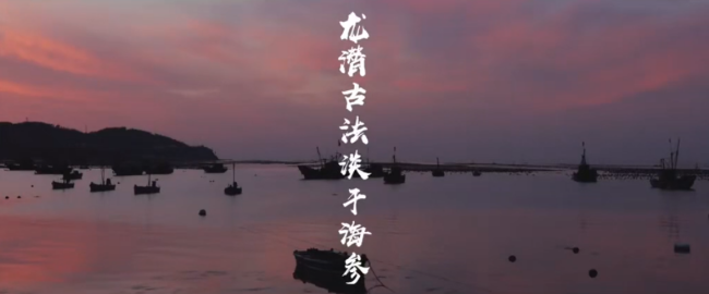 龍潛海參，老工藝淡干海參