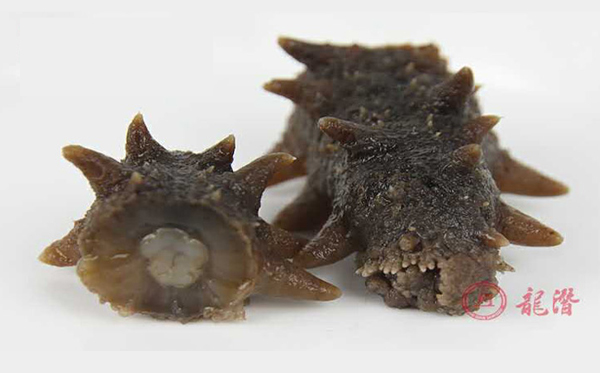 長島即食海參