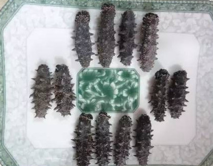 供應高檔干海參禮盒，傳統晾曬
