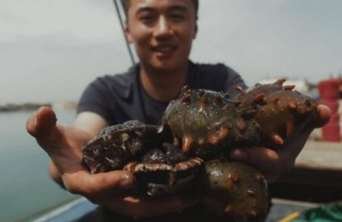 長島海參